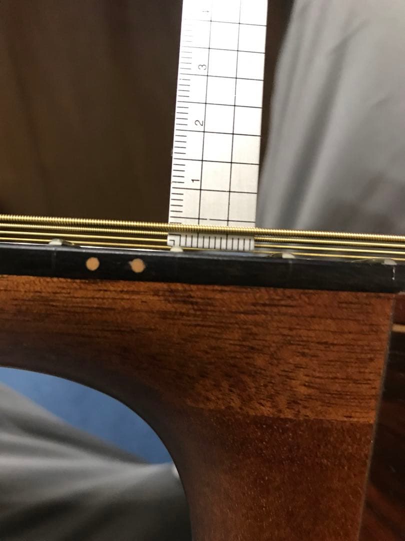 ようへい様ケース付き送料込値下げ！珍しいスロバキヤDOWINA