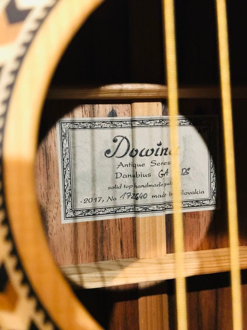 ようへい様ケース付き送料込値下げ！珍しいスロバキヤDOWINA