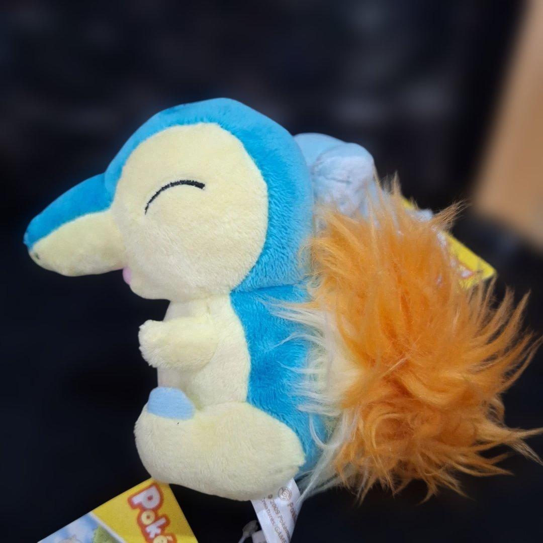 ポケモンセンター キャンバス チコリータ ワニノコ ヒノアラシ