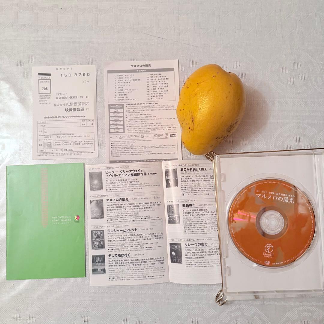 大雪特価‼️幻の傑作‼️「マルメロの陽光('92スペイン)」ヴィクトル