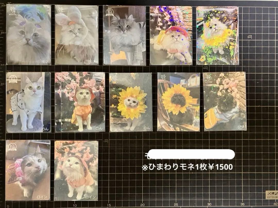 猫カフェmocha にゃんずトレカ バラ売り⭕️ SNSで話題沸騰のMOCHAにゃんずトレカが1周年！春限定トレカ