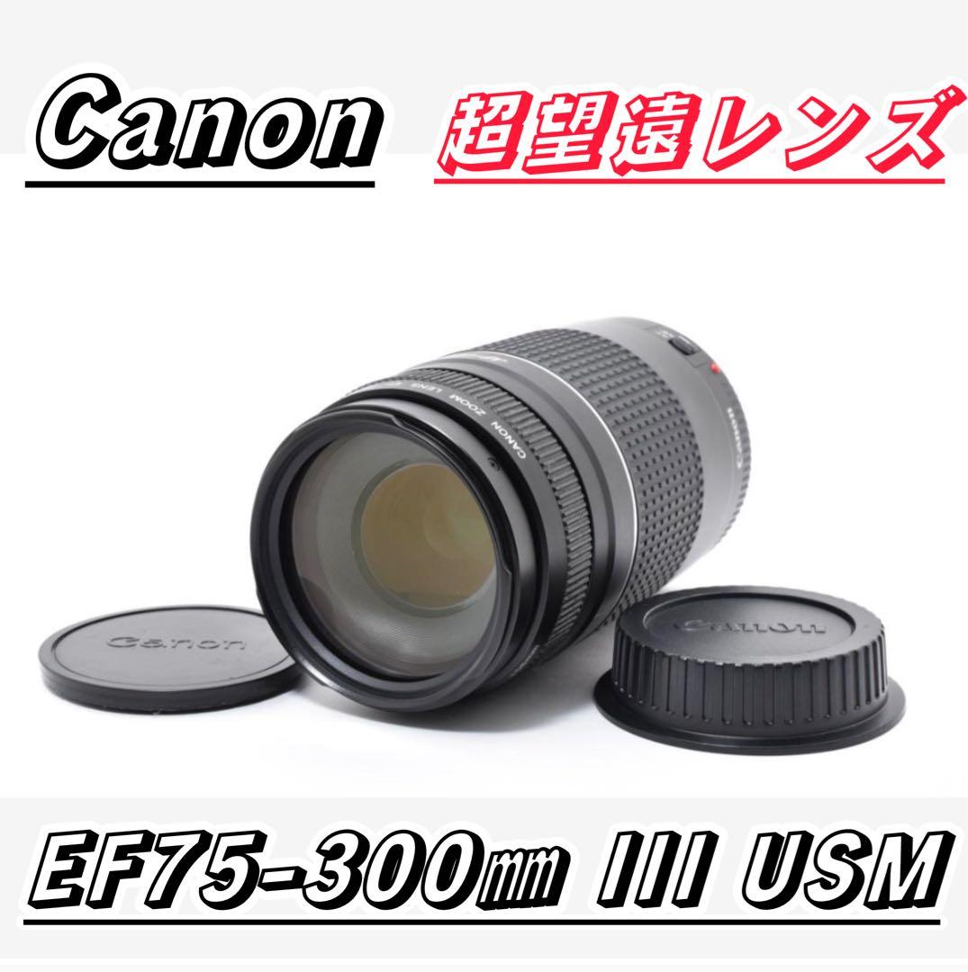 超望遠レンズ スポーツ観戦や旅行 Canon EF75-300㎜ III USM CANON (キャノン) ズームレンズ EF75-300mm F4-5.6 III USM 望遠レンズ