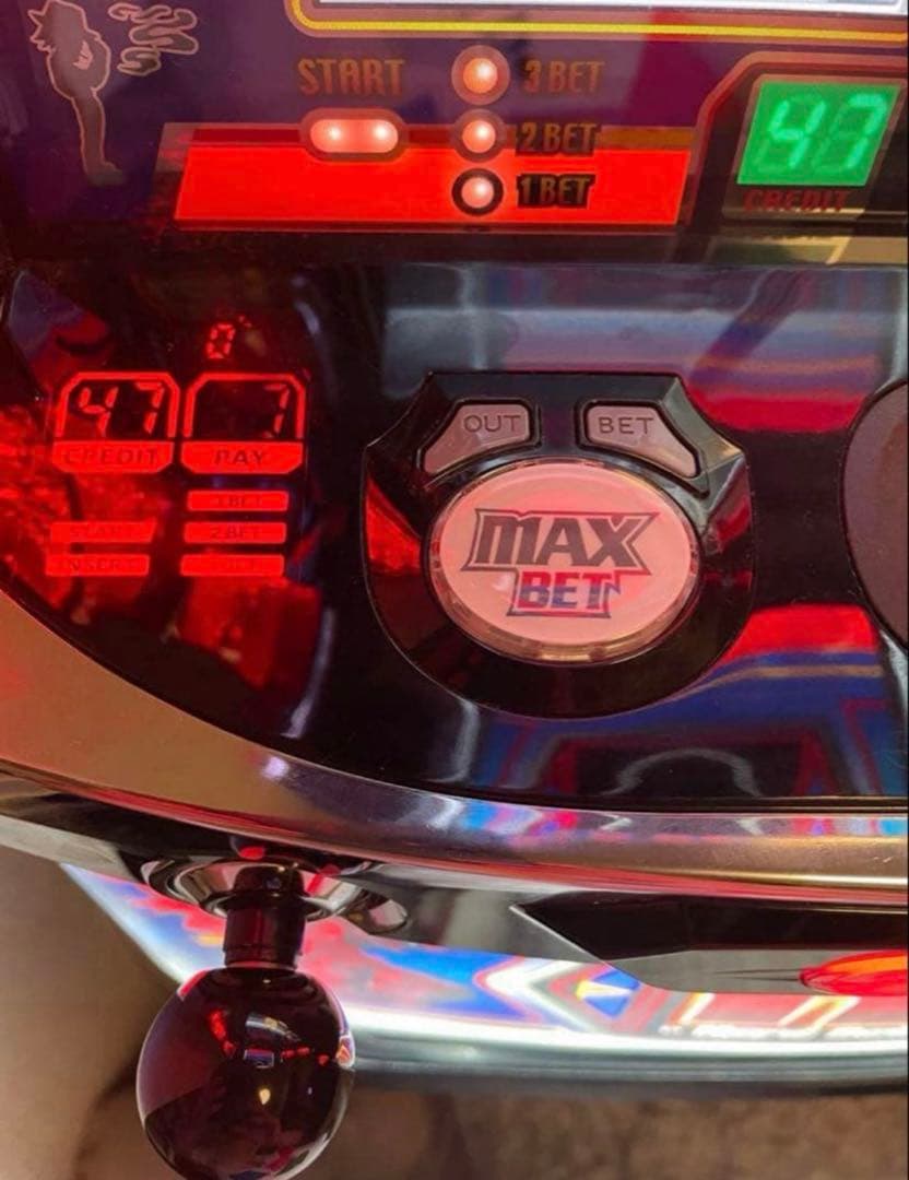 ◆引き取り限定◆Sハードボイルド XX