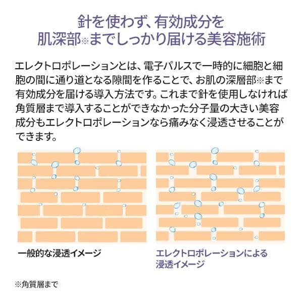 最終値下げ!セブンビューティー/エレクトロポレーション/業務用/定価￥29480