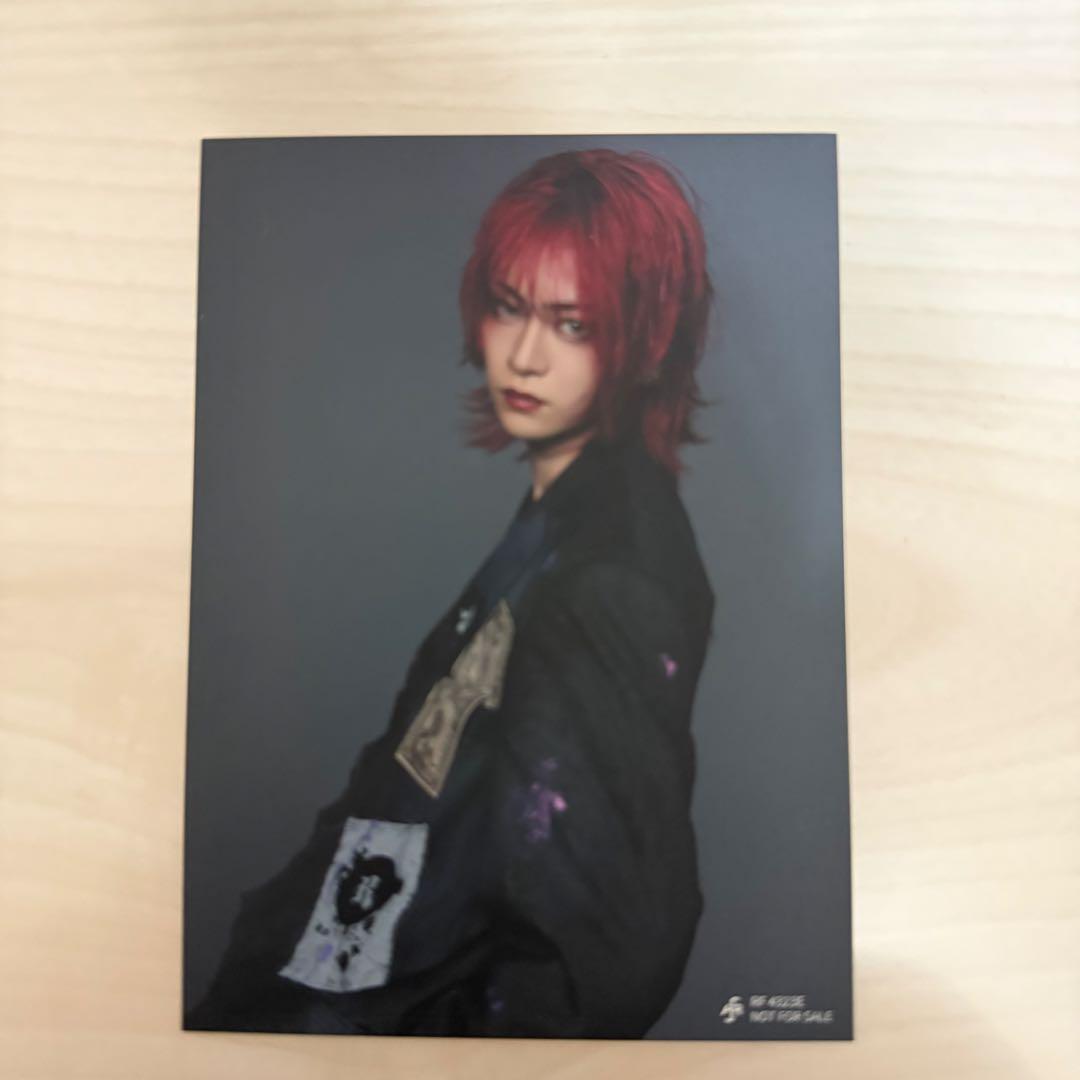 龍宮城 SHIBAI フォトカード S - メルカリ