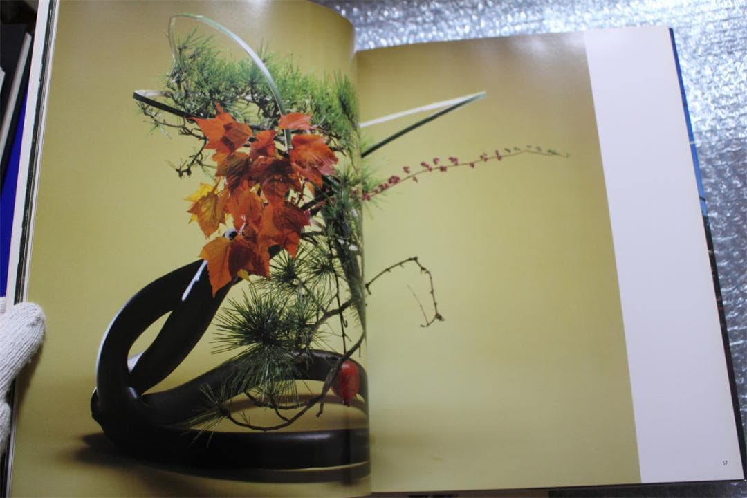 草月のいけばな 勅使河原宏 作品集 1978-1987 草月出版