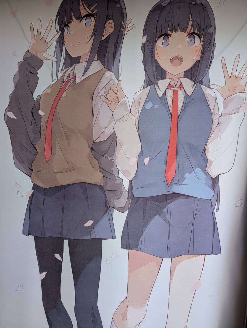 Ntype 溝口ケージ 青ブタ 等身大タペストリー C105 - メルカリ