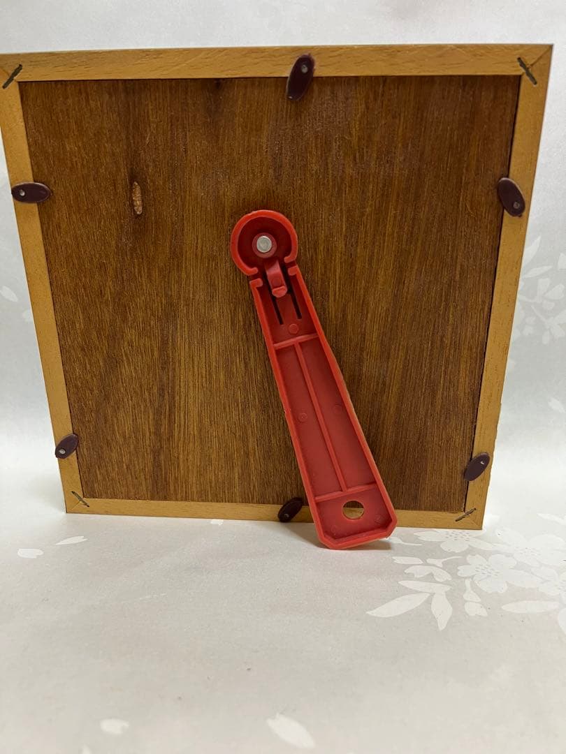 希少蝶標本メガネアゲハ（異常型）蝶標本採取現状品のみケース20x19cm