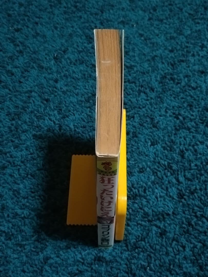 狂ったいけにえ☆1冊〈初版本〉昭和61年 ゴブリン森口