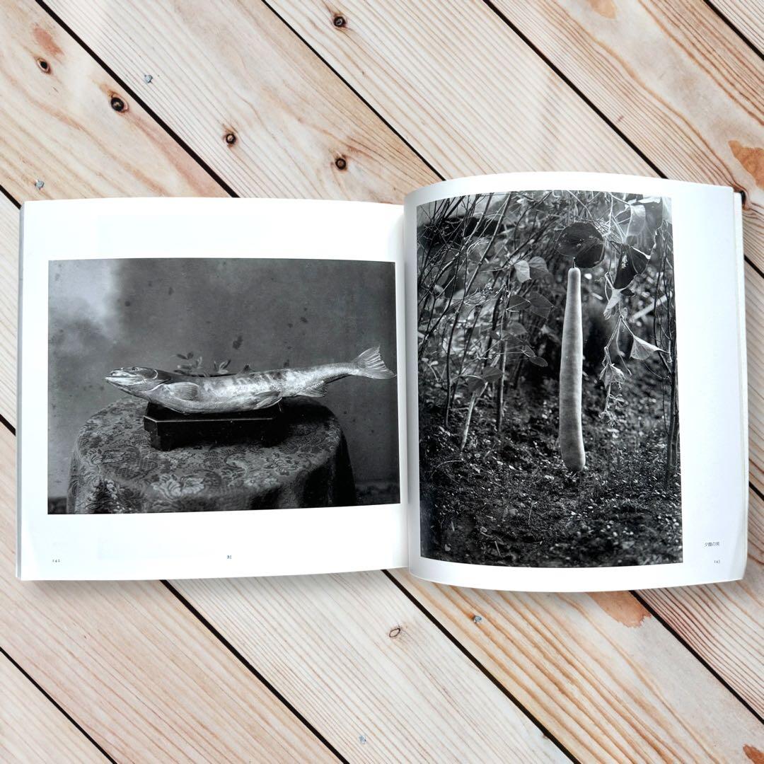 1999年 よみがえる日本の近代 石塚三郎旧蔵 明治・大正ガラス乾板写真