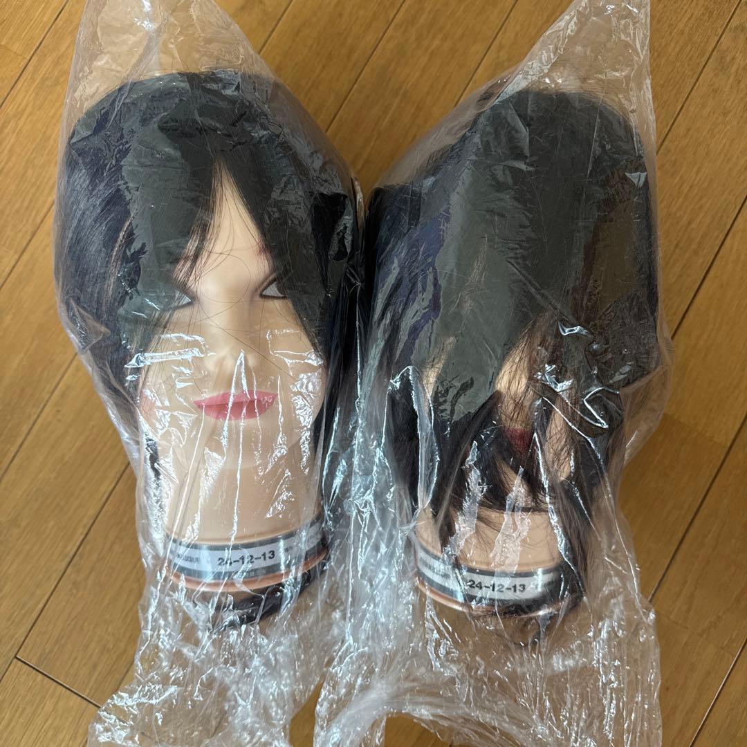 新品国試用カットウィッグ　2個 カットウィッグ 美容師 マイスター 国家試験 練習 美容師国家試験 練習