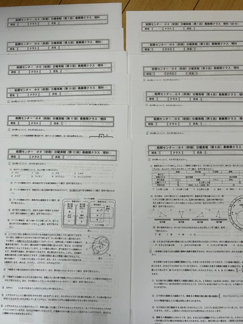 能開センター小6 前期日曜実践4科目12回分