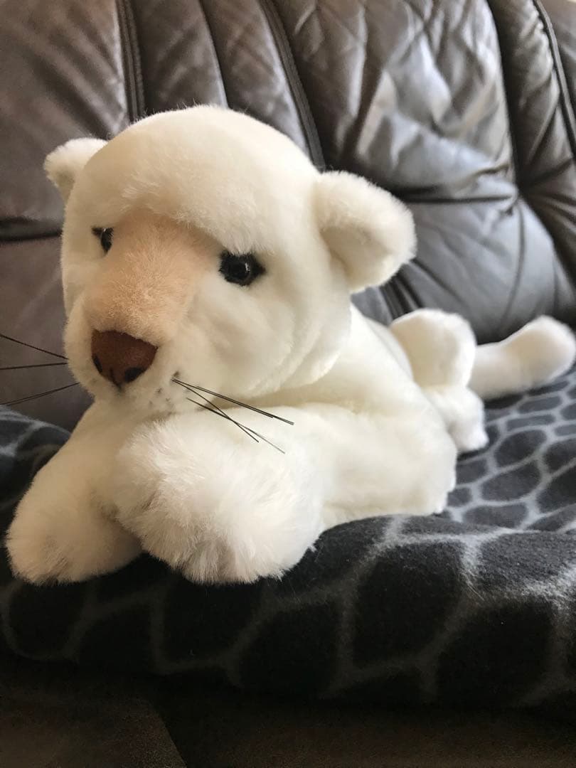 JAGUAR 正規店 ぬいぐるみ 非売品 レア ホワイトジャガー - メルカリ