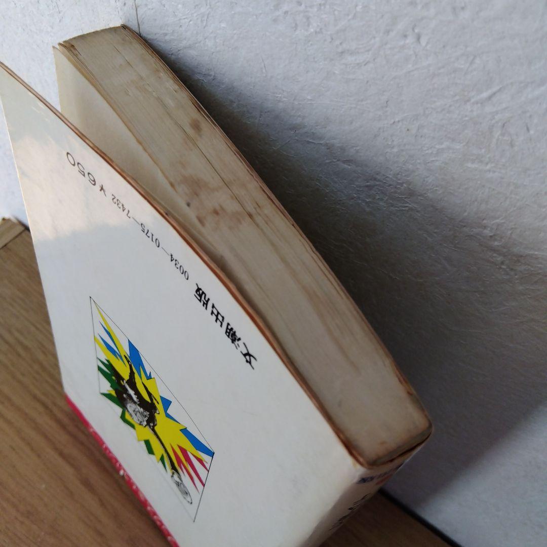 20代商法　積極商売で開業するコツ　佐渡弘行