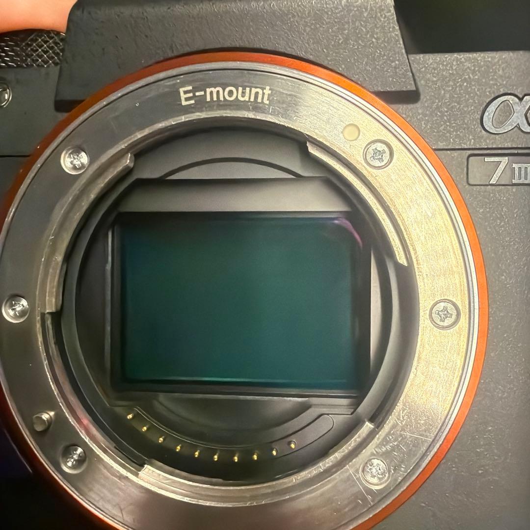 《⭐︎明日までお値下げ中⭐︎》SONY α7 III ミラーレスカメラ 本体　ボディ