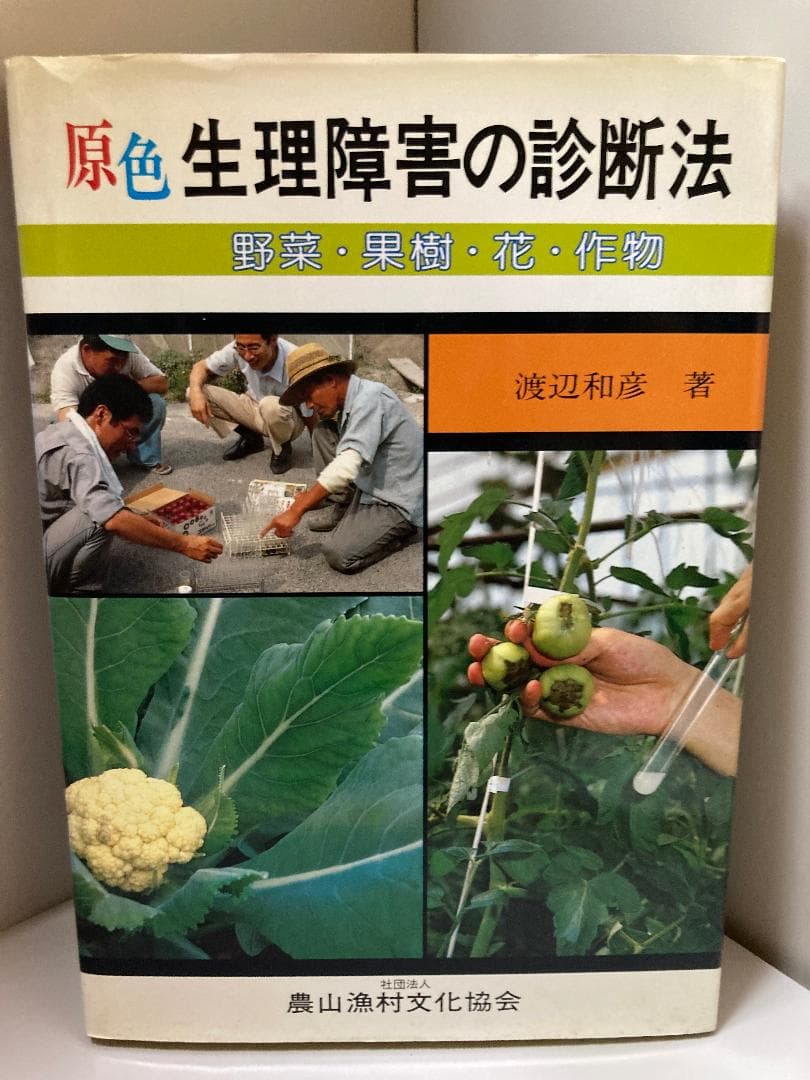 原色 生理障害の診断法―野菜・果樹・花・作物 和彦, 渡辺 原色 生理障害の診断法―野菜・果樹・花・作物 | 和彦, 渡辺 |本 | 通販