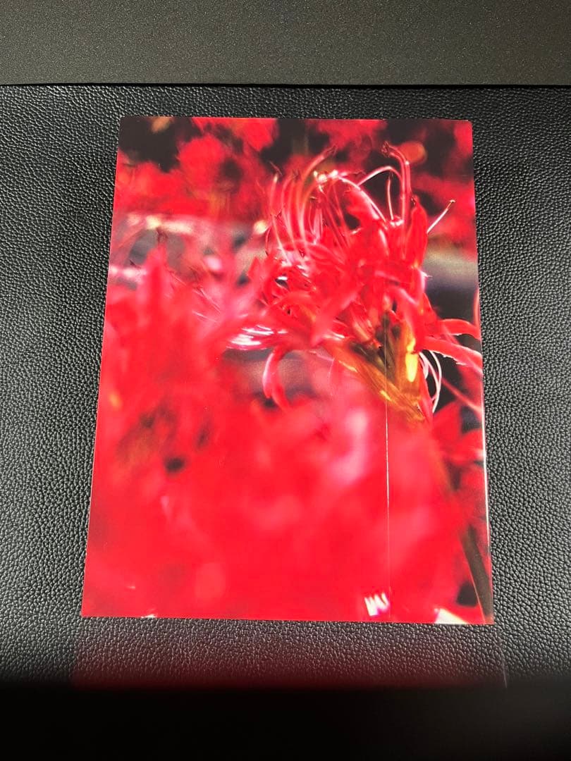 美しい隣人 DVD-BOX〈6枚組〉