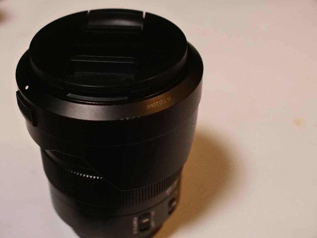 レンズ(ズーム) lumix leica 12-60mm f2.8-4.0