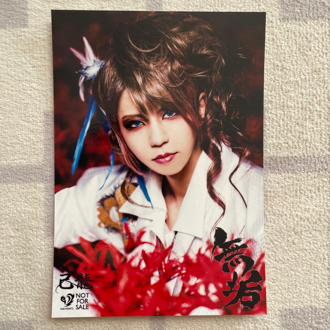 己龍 無垢 アー写 - メルカリ