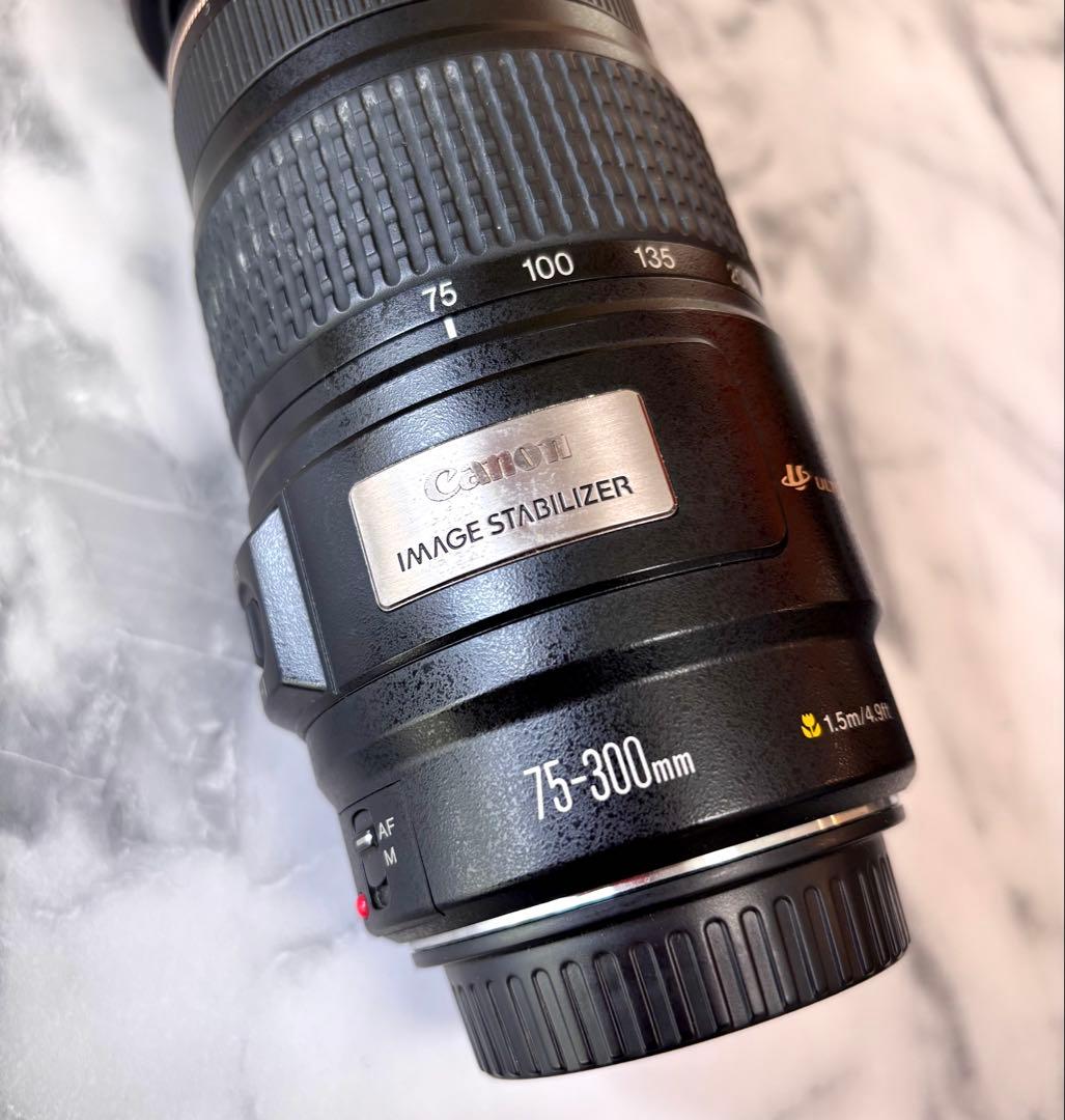 キヤノン Canon EF 75-300mm F/4-5.6 USM手ぶれ補正付