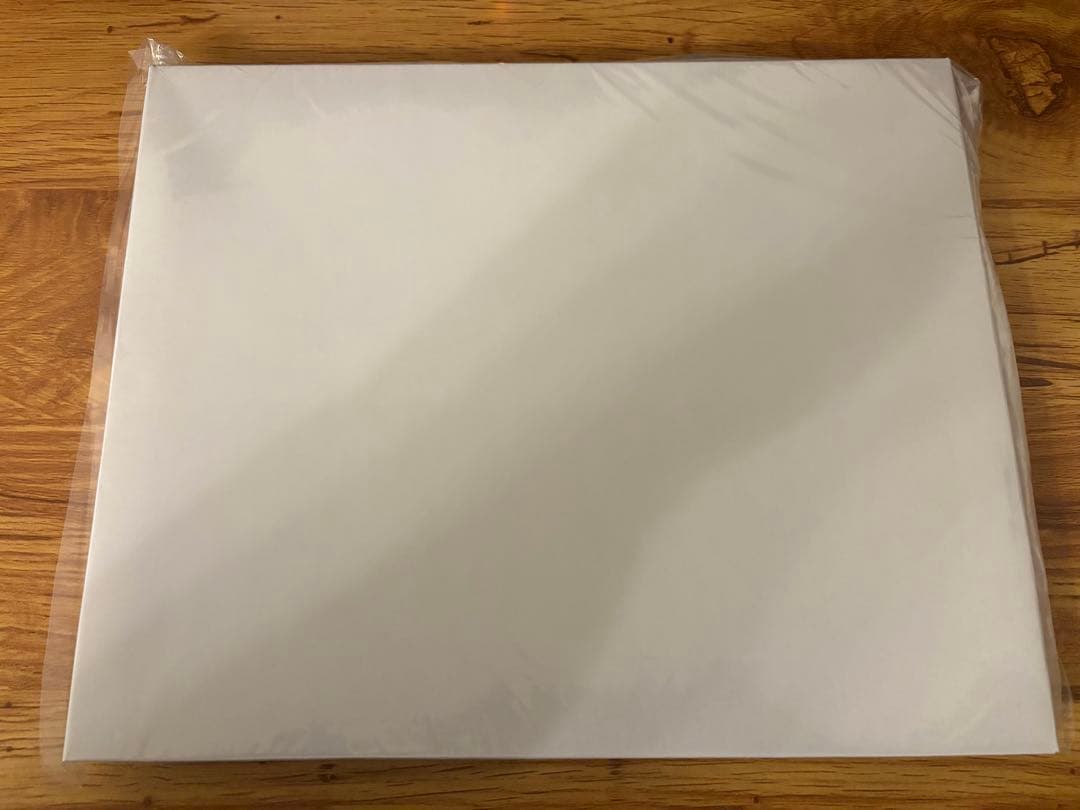 ドウデュース】武豊 イラストパネル おがわじゅり 直筆サイン入り 競馬