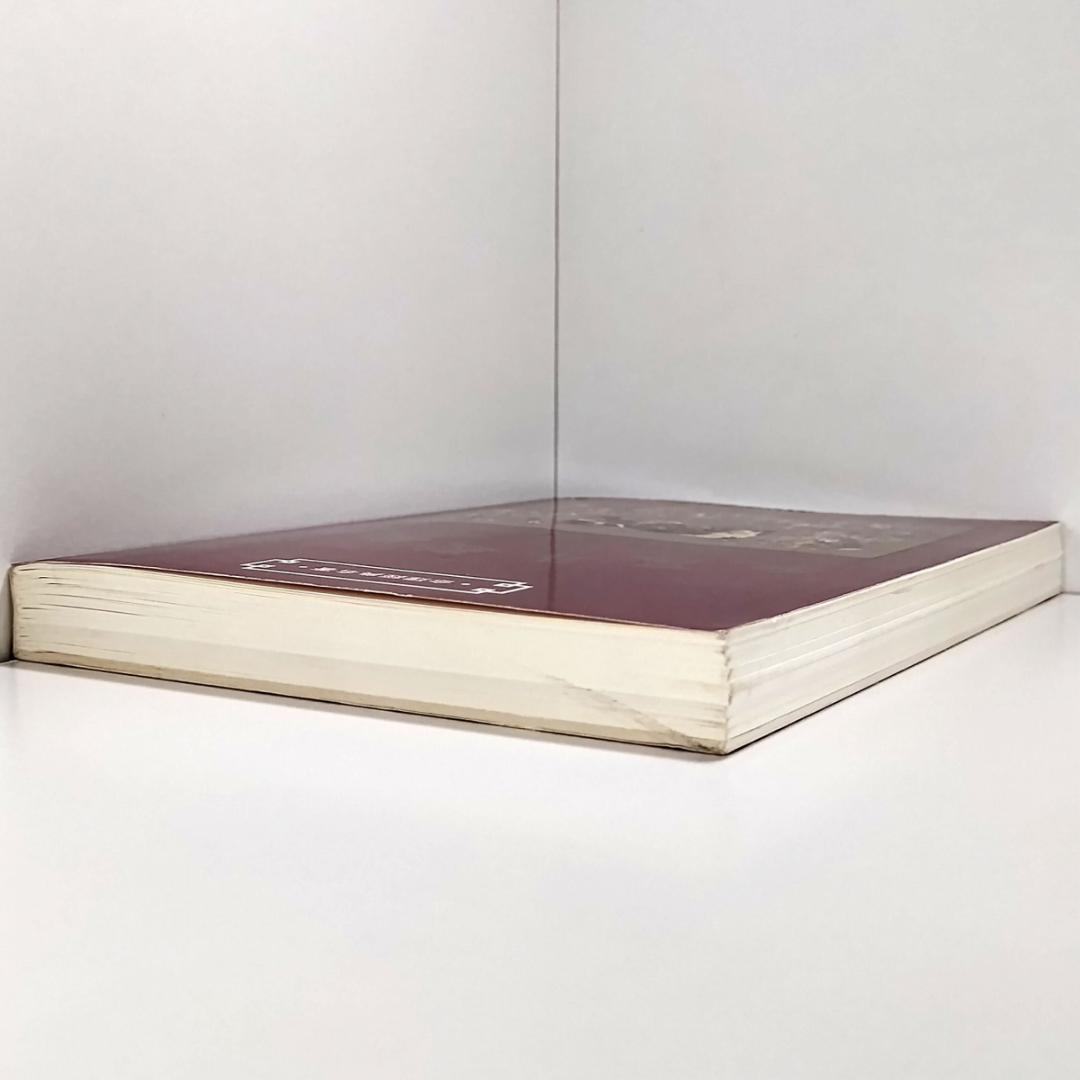 書込、背折れ、8ページ分切抜欠損あり命理経典名著 天星斗數秘笈 文源書局 中国語