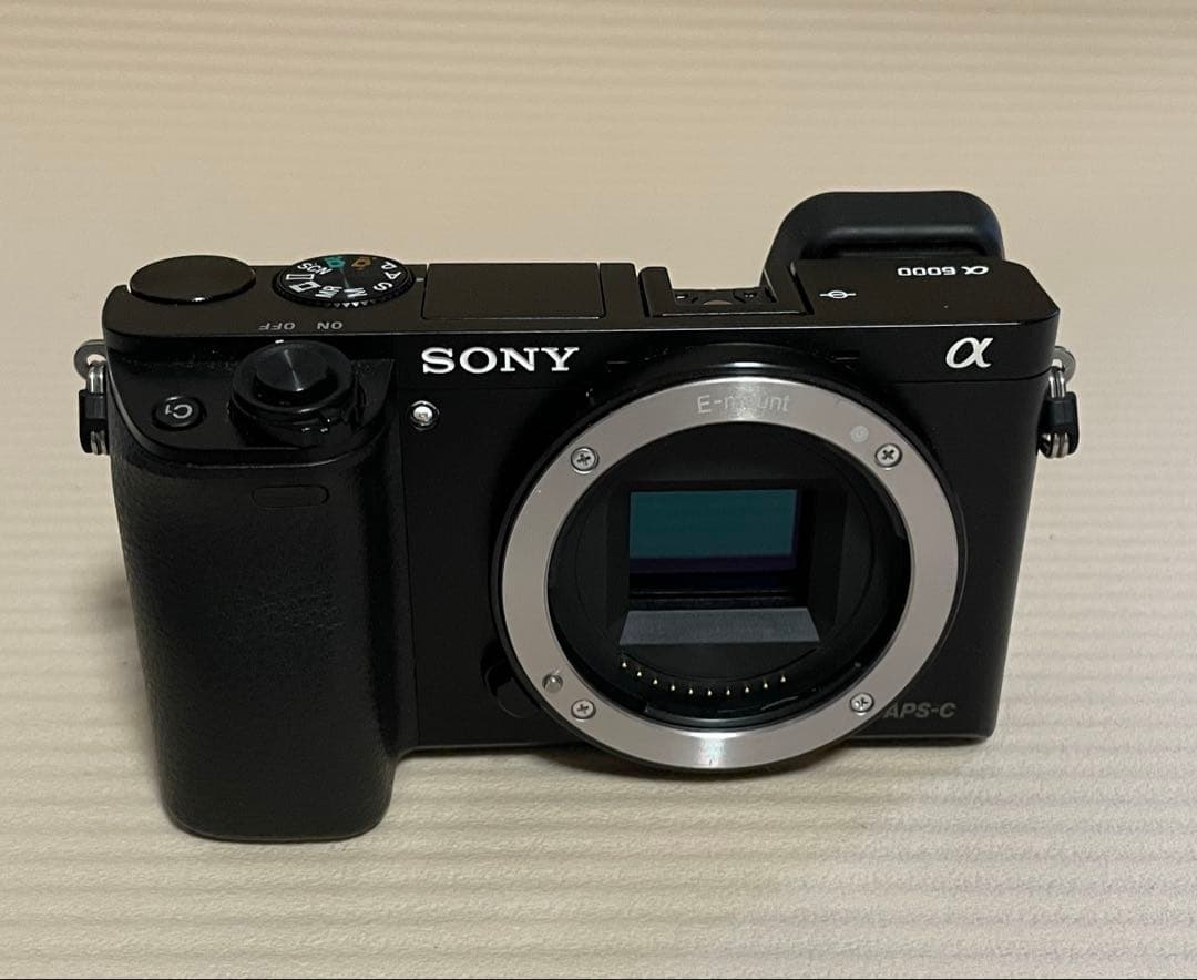 SONY α6000 ILCE-6000 動作確認済【総ショット数1557】 - メルカリ