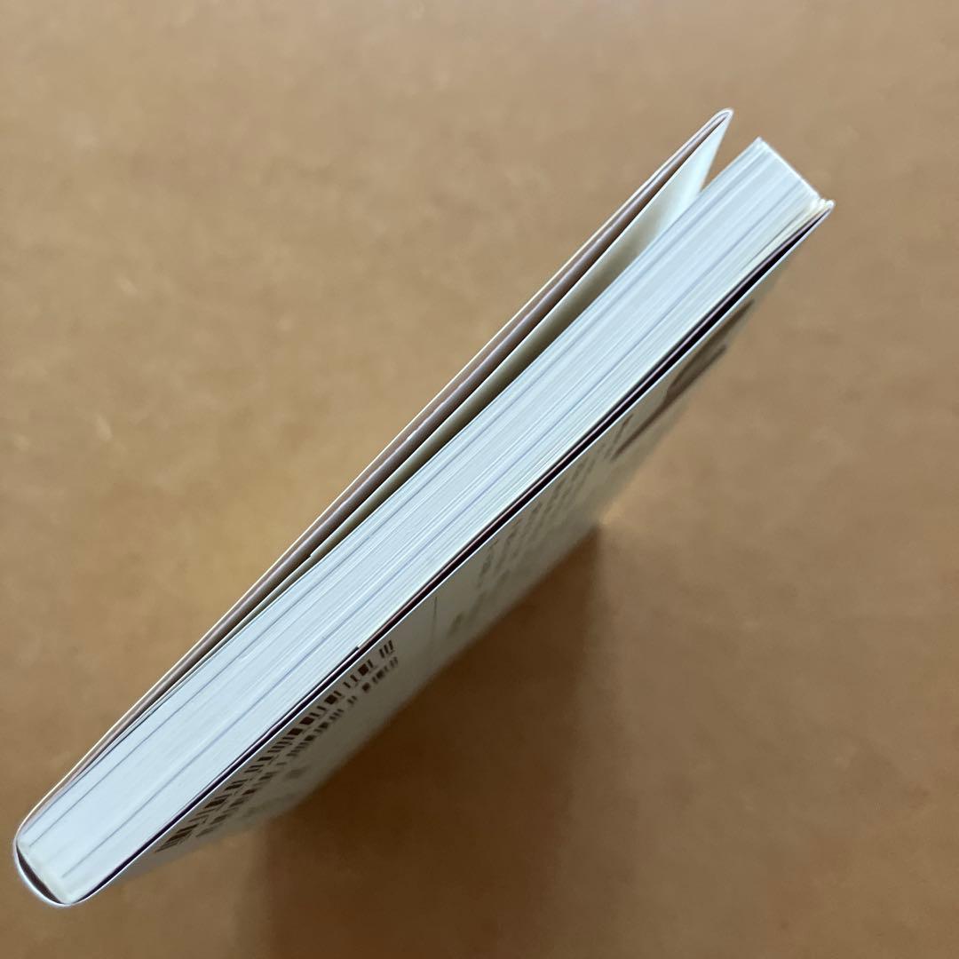 動物化するポストモダン 初版 - メルカリ