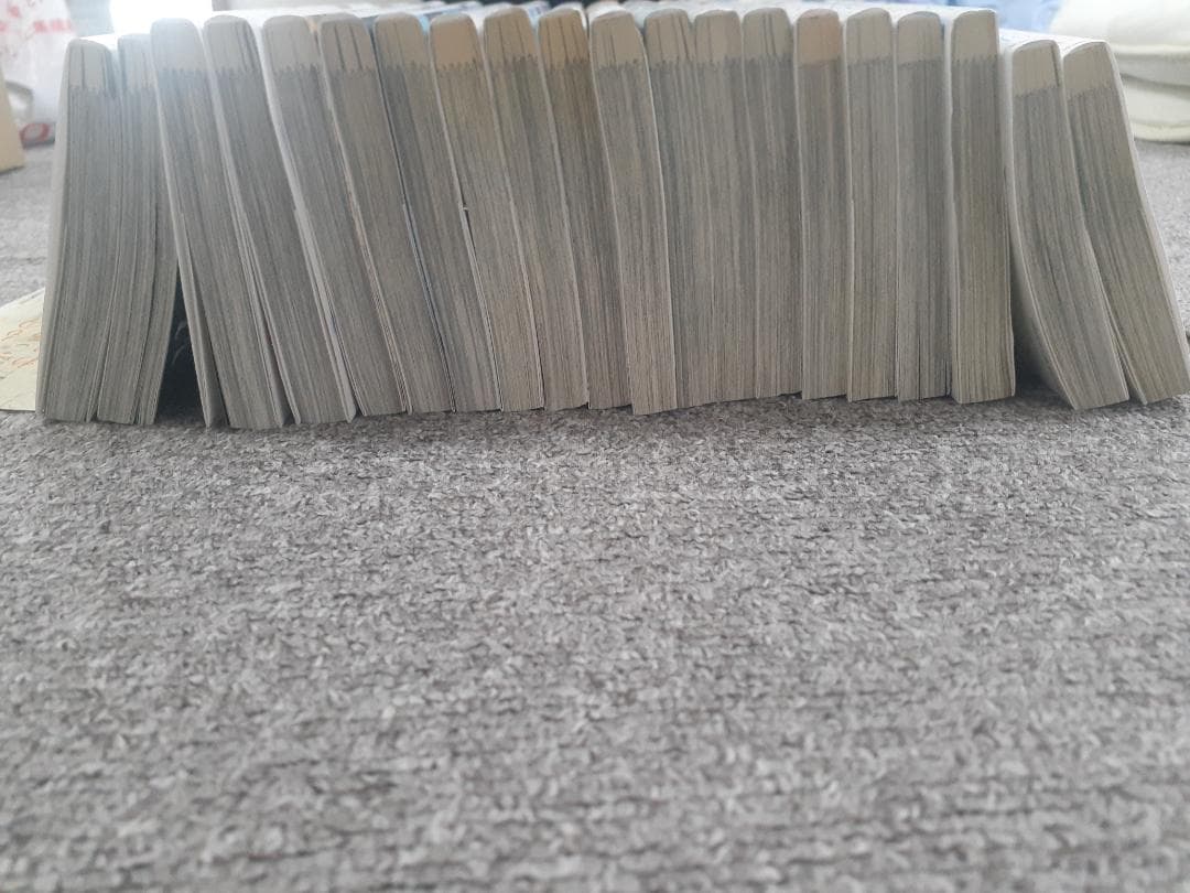 期間限定破格売り切り　リエゾン　1巻から20巻のセット　まんが　漫画