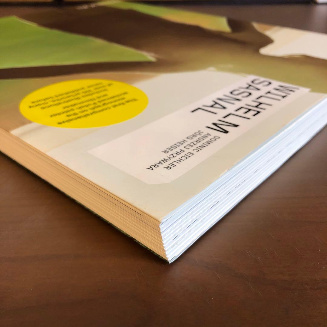 WILHELM SASNAL PHAIDON ヴィルヘルム・サスナル (洋書) - メルカリ