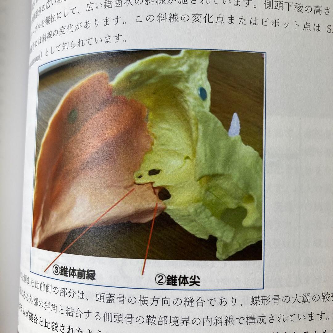 アーバックル著作選集 オステオパシーの通販はau PAY マーケット