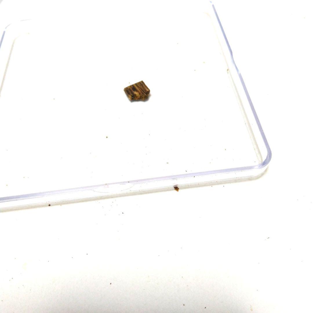 香木沈香伽羅　伽羅 ZX 0.14g