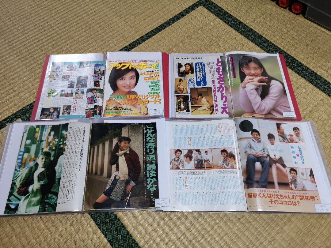 ともさかりえ(1冊200円計算)81冊分209ページ切り抜きしファイリング済み