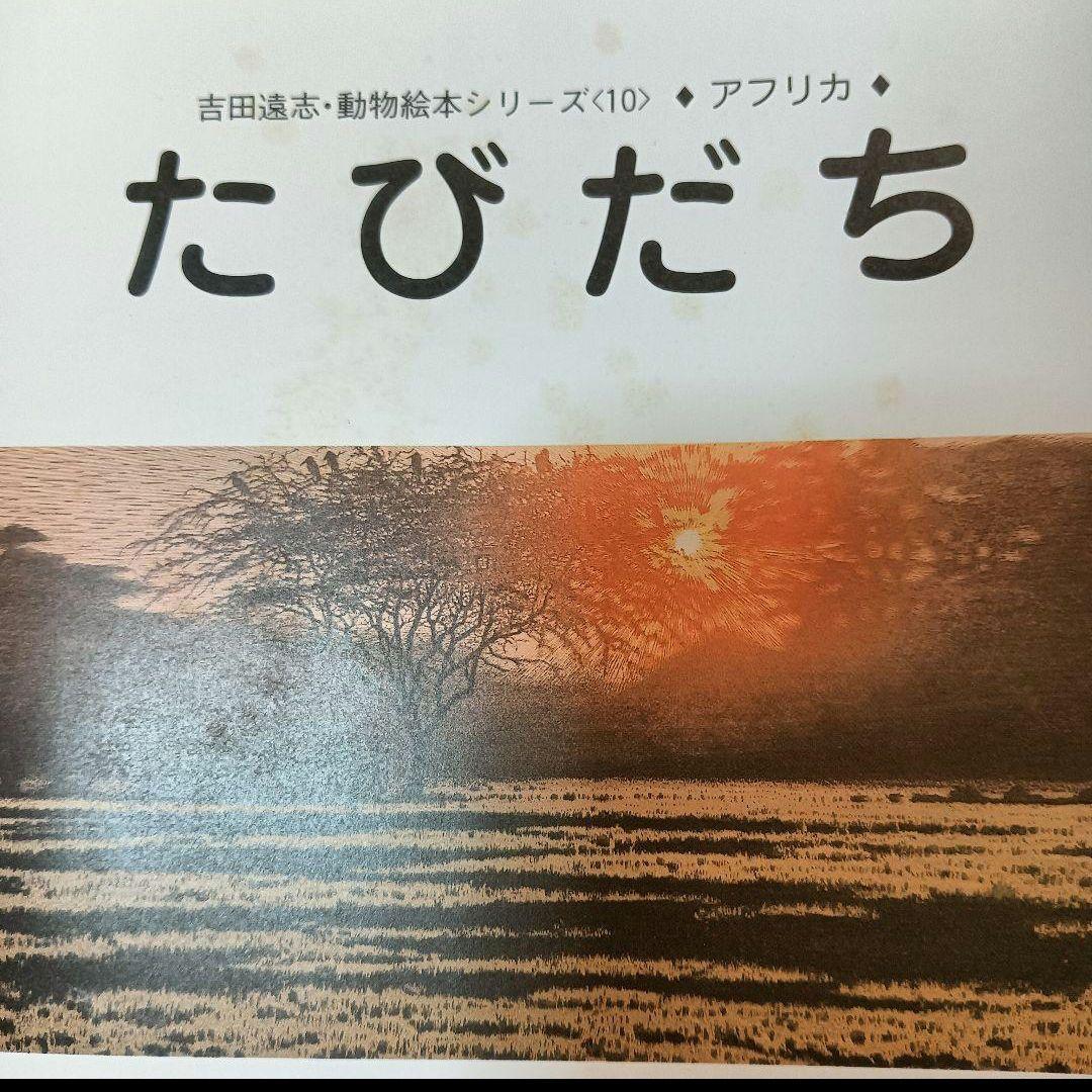 【希少】【絶版】吉田遠志　動物絵本シリーズ《アフリカ》14冊セット