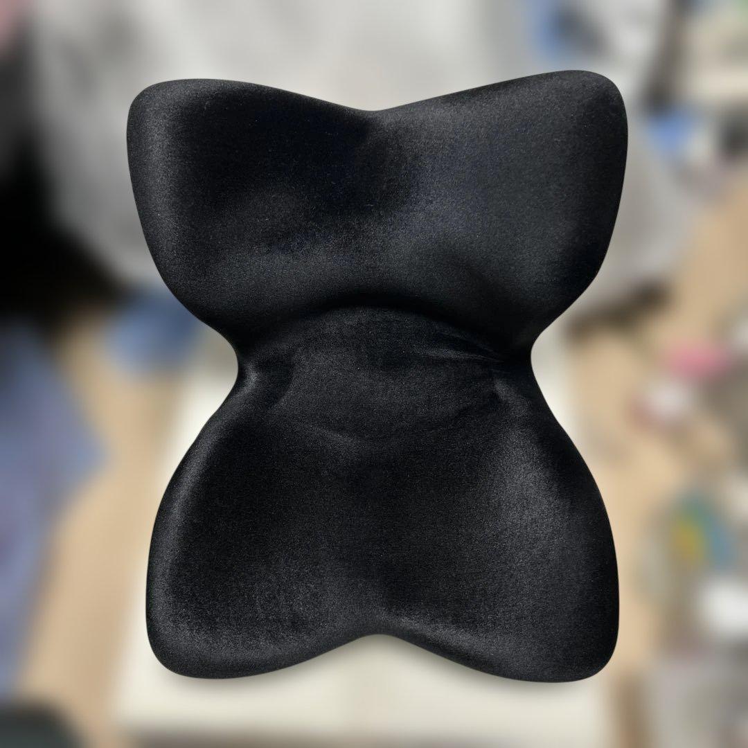 Style PREMIUM DX スタイルプレミアムデラックス Style（スタイル） ○ポイント10倍！○ 公式ストア スタイルプレミアム