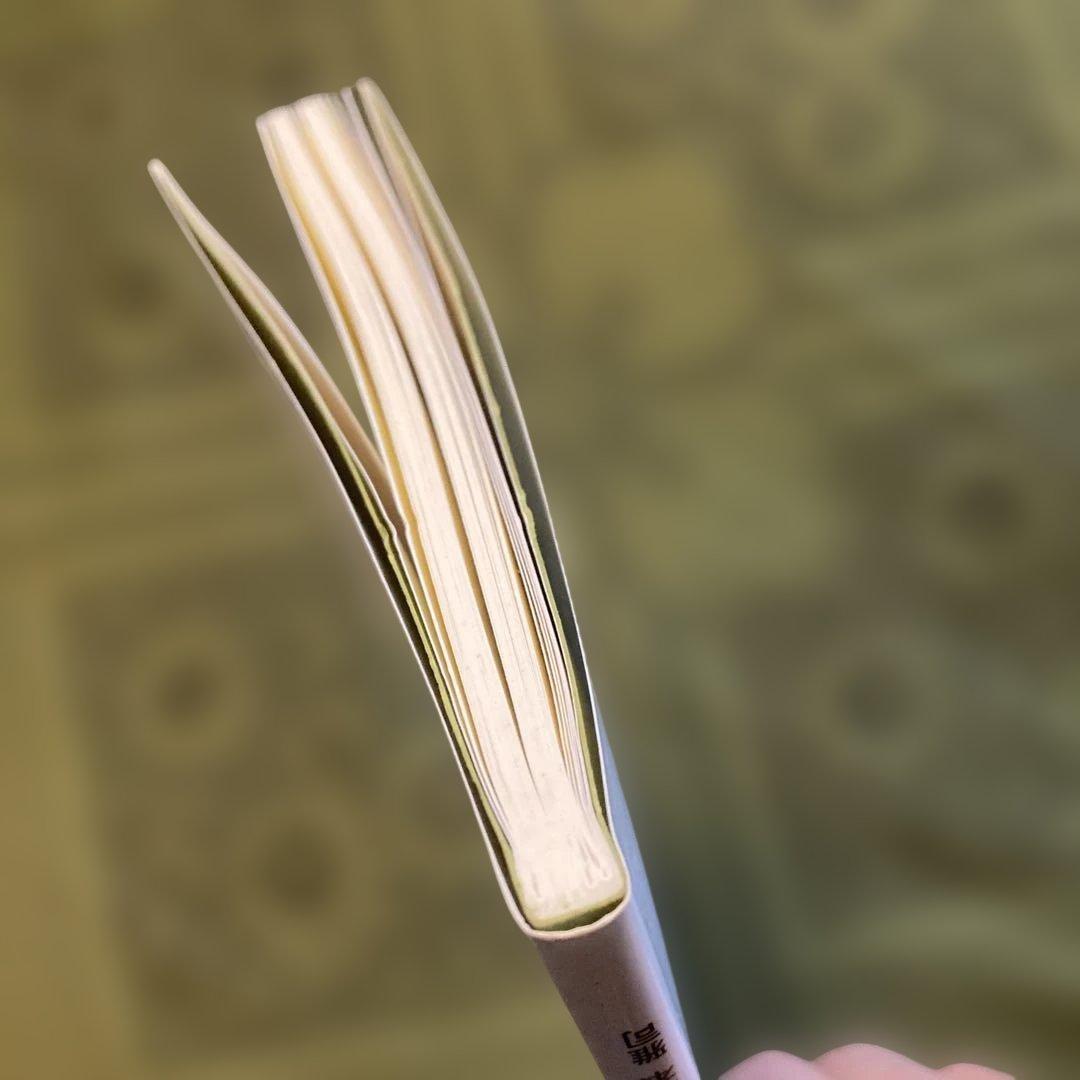 絶版希少本　藍 医色同源　岩城完三、栗本雅司　2001年　薬用植物としての藍