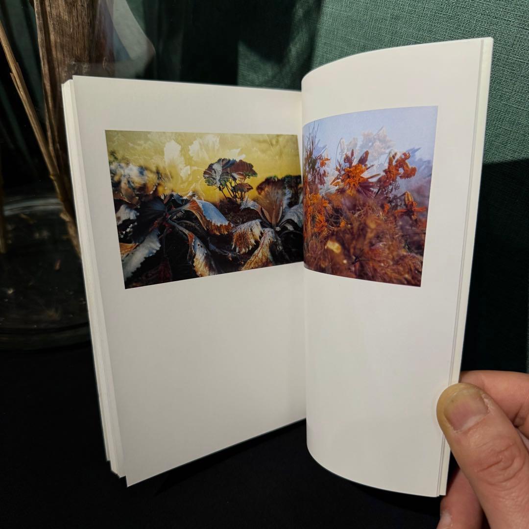 1998年発行800部限定ペーター・フィッシュリ/ダヴィッド・ヴァイス