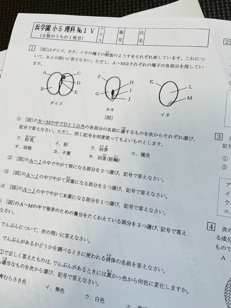 浜学園 最新版 2023年 小5 復習テスト Vクラス 3科目 算国