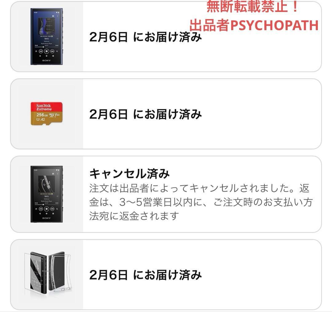 SONY NW-A307 64GB フィルム・SanDisk SD256GB付 - メルカリ