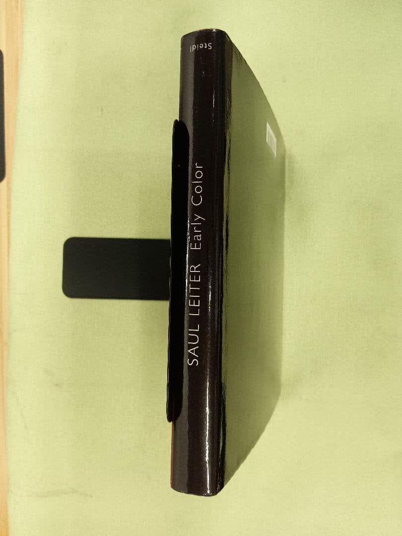 《TA741》SAUL LEITER Early Color 写真集