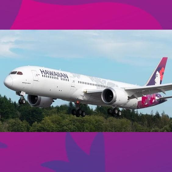 ハワイアン航空【大きな】ピンバッジ 76mm Hawaiian Airlines - メルカリ