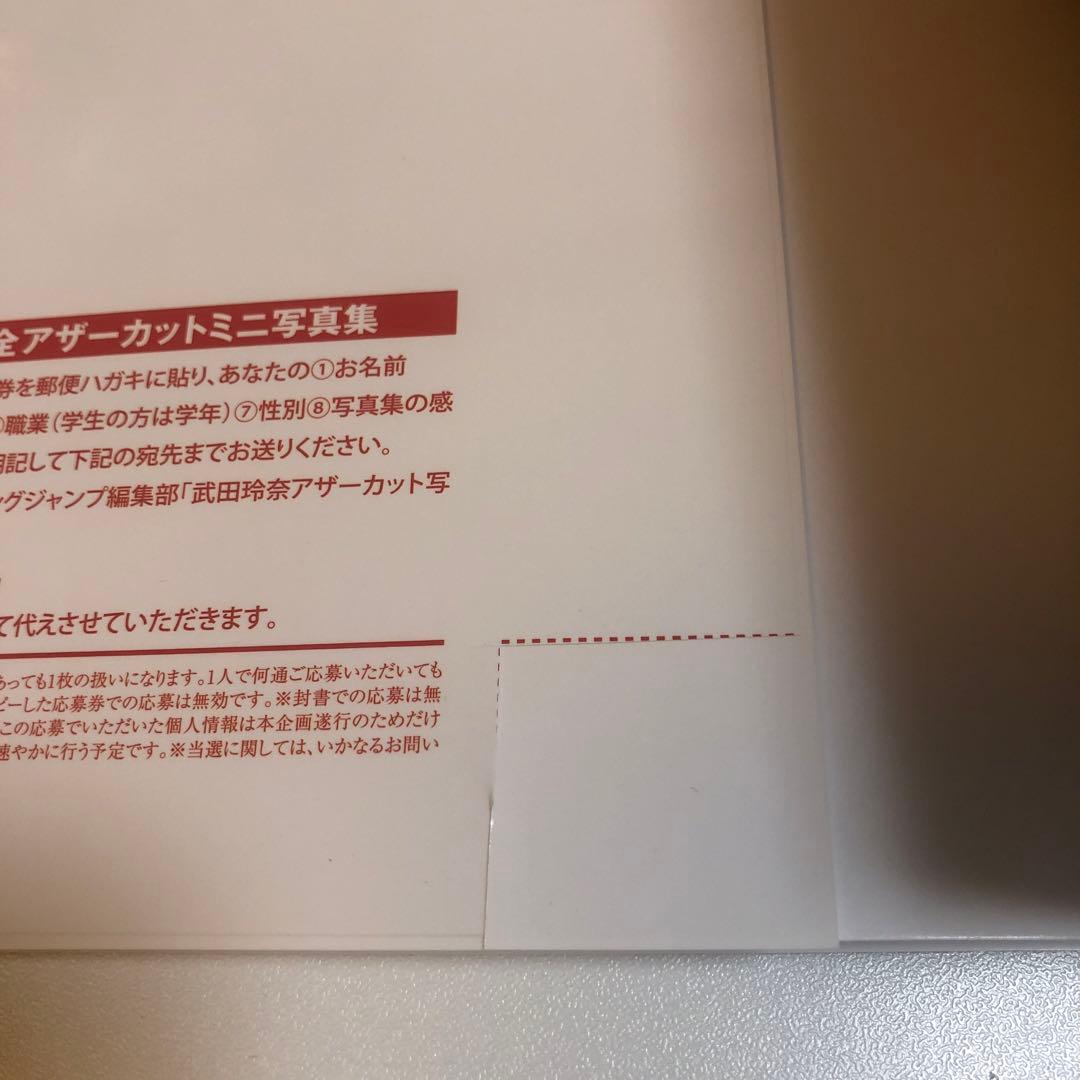 rena 武田玲奈2nd写真集 ＆ アナザー写真集 未使用に近い - メルカリ