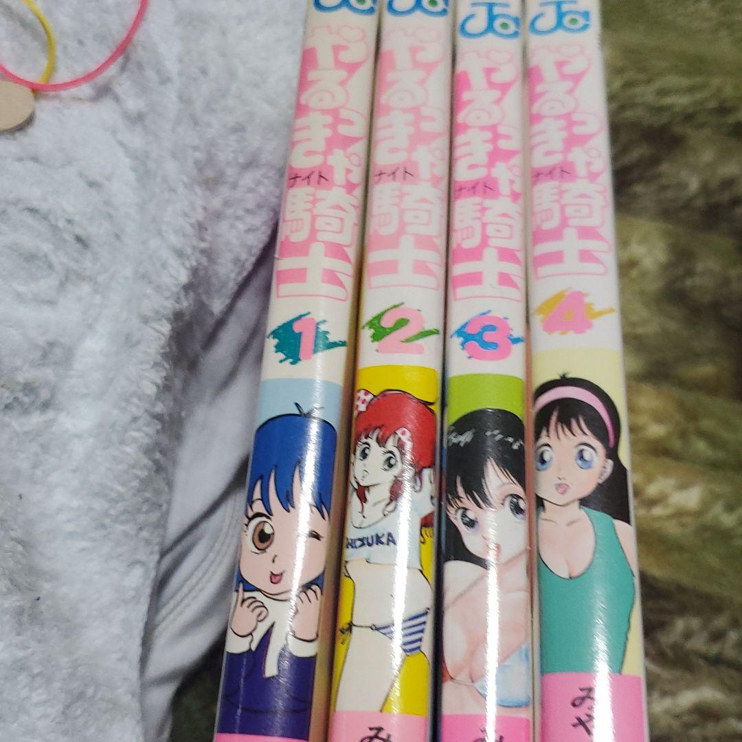 やるっきゃ騎士 1~4 限定販売】B-style やるっきゃ騎士 美崎静香 バニーVer. 1/4 完成品