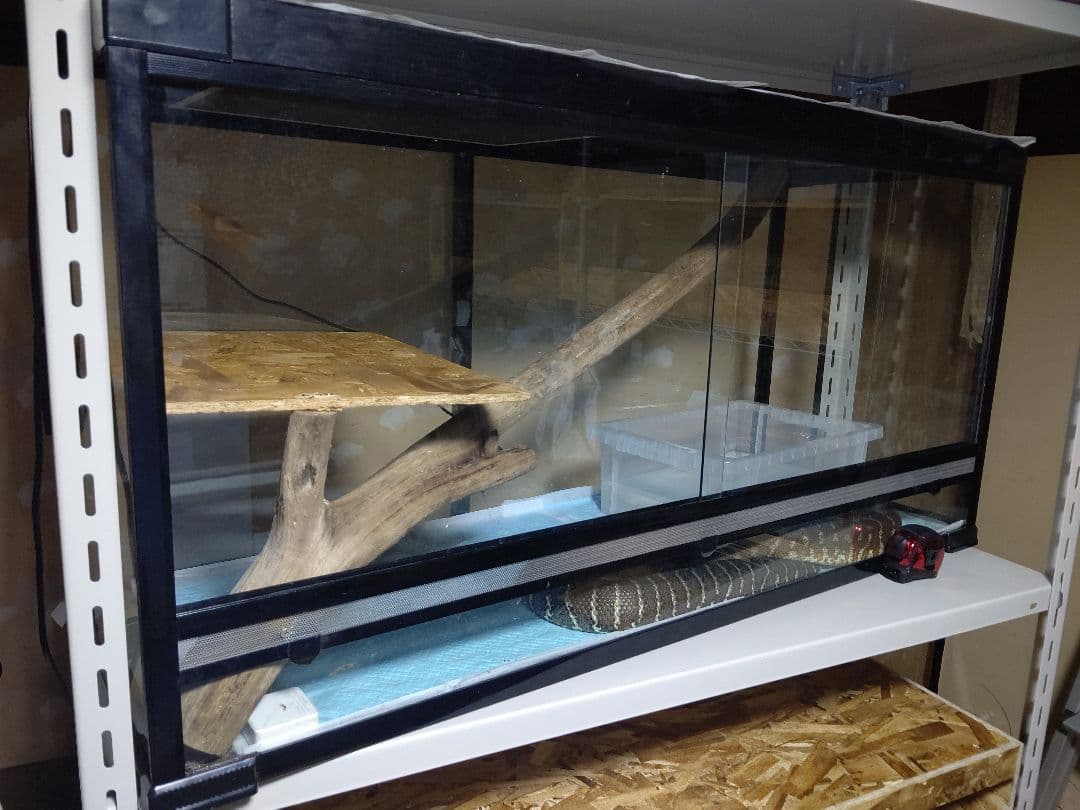 ムッセル様専用 OSB製 90×45×45 爬虫類ケージ 小動物ケージ