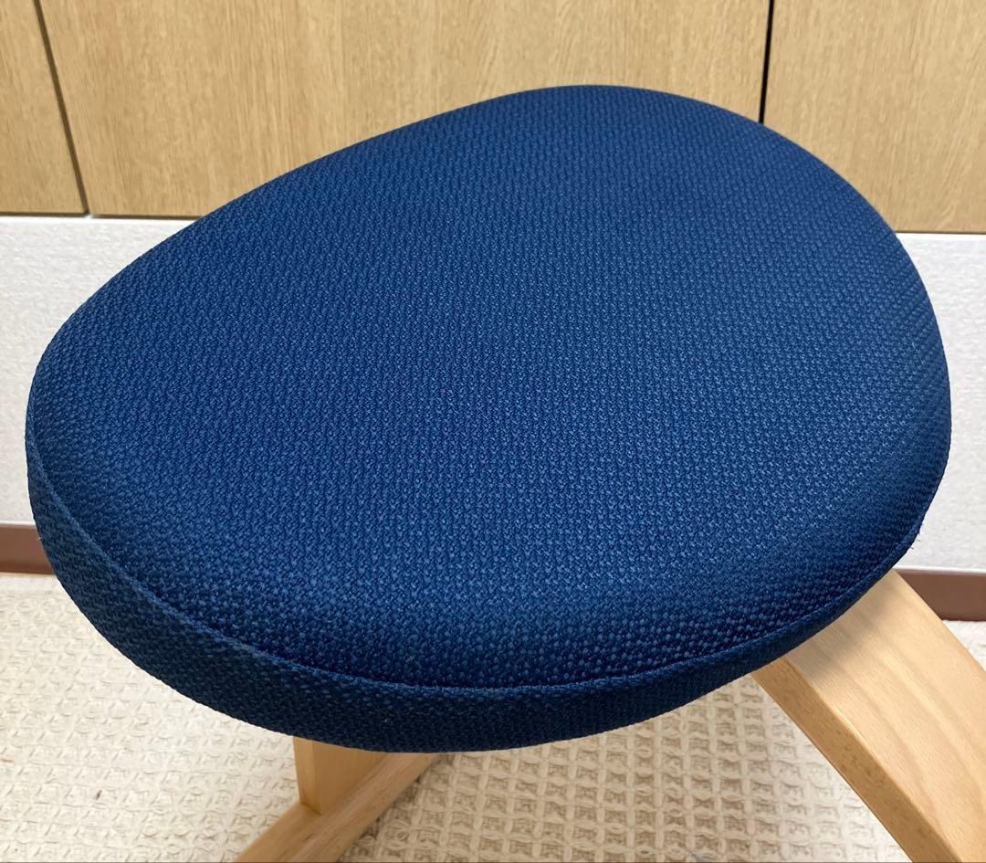 サカモトハウス バランスラボ バランスチェア イージー 姿勢矯正イス