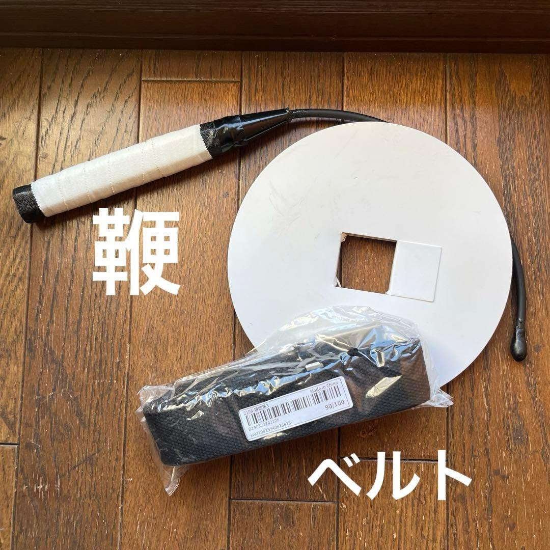 REBORN! ディーノ コスプレ フルセット 鞭 ウィッグ