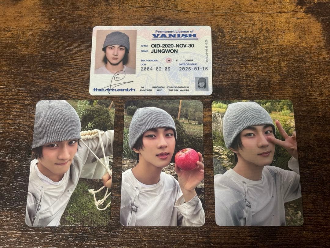 ENHYPEN THE SIN : VANISH ジョンウォントレカセット - メルカリ