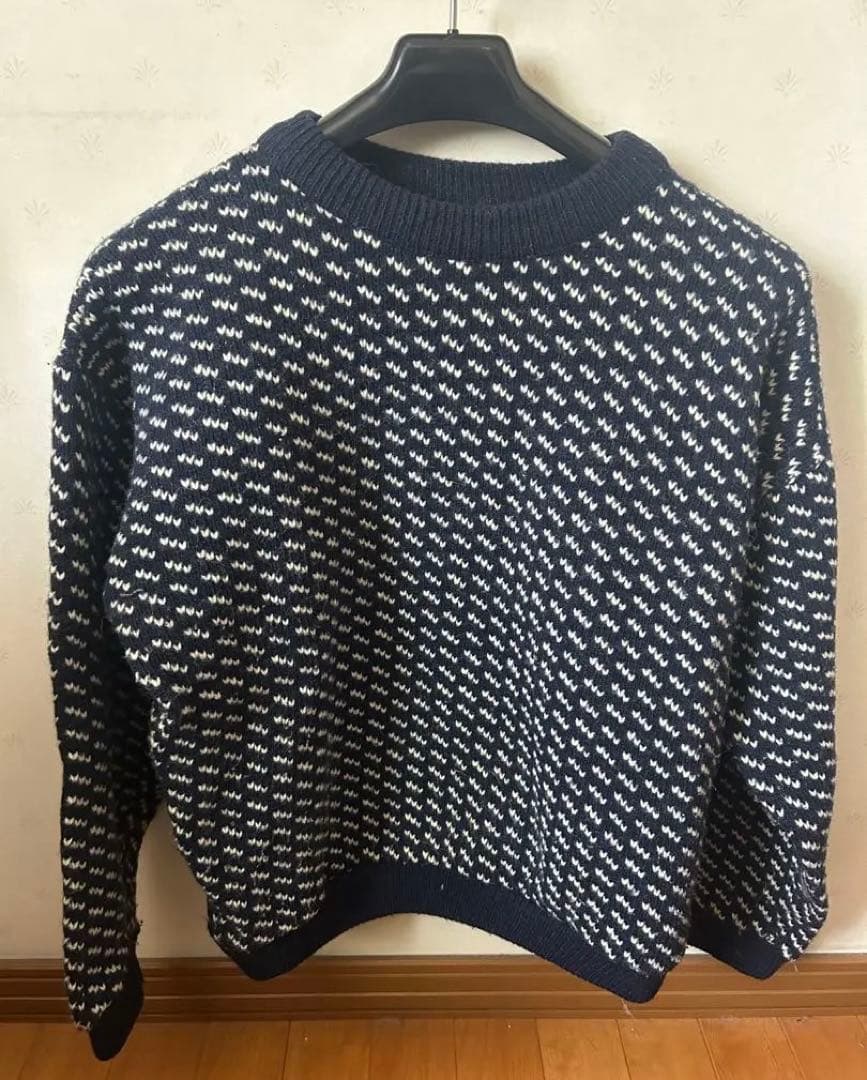 80s】llbean バーズアイニット 在原みゆ紀 有名人着用 - メルカリ