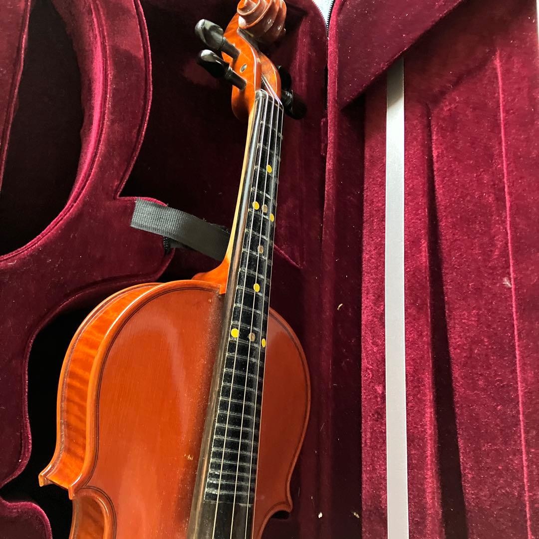 カルロジョルダーノ VS-3 フレット バイオリン4/4 虎目一枚板 一式