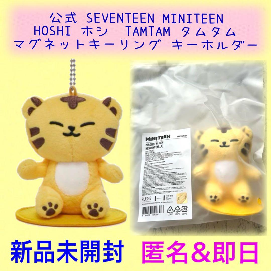 SEVENTEENミニティーン マグネットキーリング ホシ タムタムTAMTAM